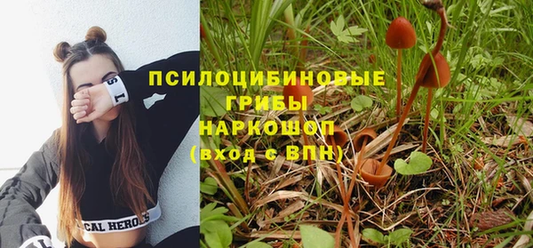 каннабис Беломорск